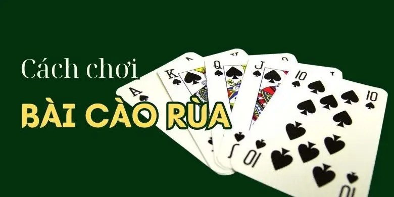 Bài Cào Rùa - Bí Mật Chiến Thắng Và Tiết Lộ Mẹo Chơi Hay