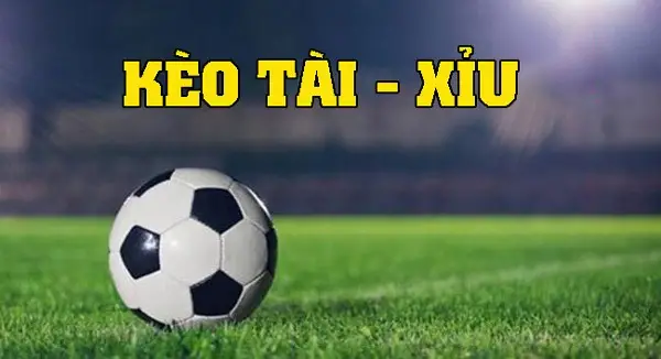 Tài Xỉu 1.75 Là Gì - Bí Mật Chinh Phục Kèo Chấp 