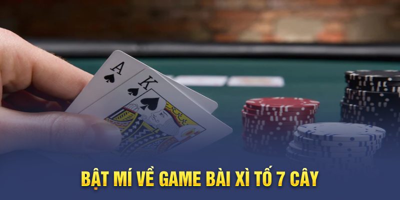 Xì Tố 7 Cây - Bí Quyết Thắng Lớn, Chinh Phục Mọi Ván Bài!